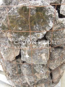 Black Lichen Wall Rock