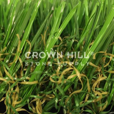 La Jolla Medium Turf